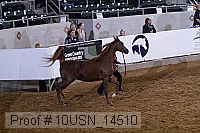 10usn_14510 thumbnail
