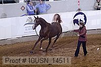 10usn_14511 thumbnail