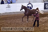10usn_14512 thumbnail