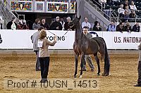 10usn_14513 thumbnail