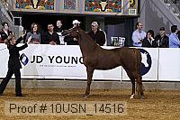 10usn_14516 thumbnail