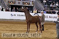 10usn_14517 thumbnail