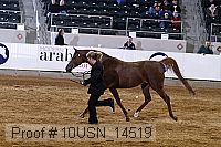 10usn_14519 thumbnail