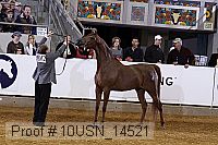 10usn_14521 thumbnail