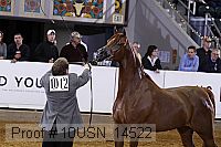 10usn_14522 thumbnail
