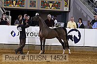10usn_14524 thumbnail