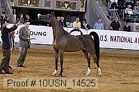 10usn_14525 thumbnail