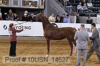 10usn_14527 thumbnail