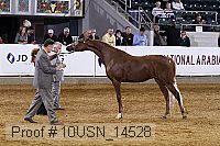 10usn_14528 thumbnail