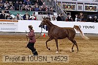 10usn_14529 thumbnail