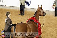 10usn_22811 thumbnail