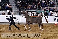 10usn_14380 thumbnail