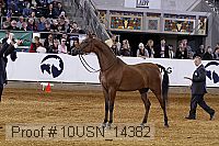 10usn_14382 thumbnail
