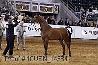 10usn_14384 thumbnail