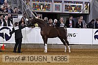 10usn_14386 thumbnail