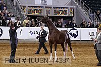 10usn_14387 thumbnail