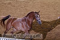 10usn_14390 thumbnail