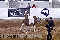 10usn_14391 thumbnail