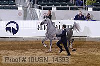 10usn_14393 thumbnail