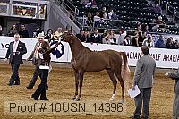 10usn_14396 thumbnail