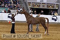 10usn_14397 thumbnail