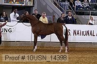 10usn_14398 thumbnail