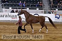 10usn_14401 thumbnail