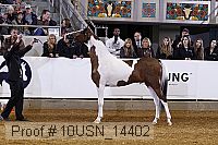 10usn_14402 thumbnail