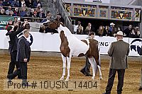10usn_14404 thumbnail