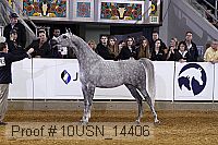 10usn_14406 thumbnail