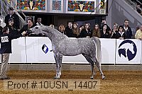 10usn_14407 thumbnail