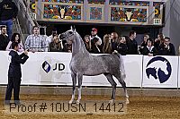 10usn_14412 thumbnail