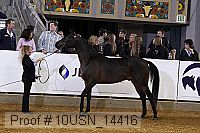 10usn_14416 thumbnail