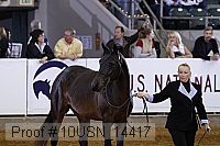 10usn_14417 thumbnail