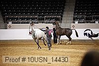 10usn_14430 thumbnail