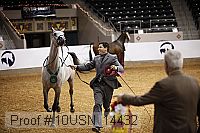 10usn_14432 thumbnail