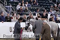 10usn_14443 thumbnail