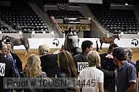 10usn_14445 thumbnail