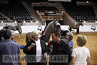 10usn_14447 thumbnail