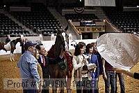 10usn_14483 thumbnail