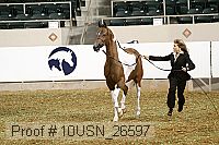 10usn_26597 thumbnail