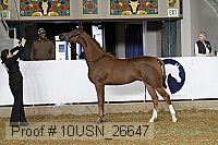 10usn_26647 thumbnail