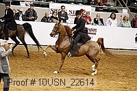 10usn_22614 thumbnail