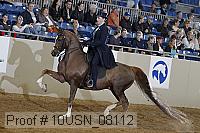10usn_08112 thumbnail