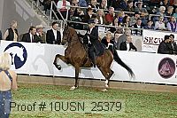 10usn_25379 thumbnail