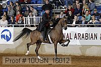 10usn_18012 thumbnail