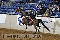 10usn_18106 thumbnail