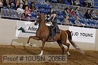 10usn_20866 thumbnail