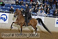 10usn_20886 thumbnail