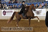 10usn_20908 thumbnail